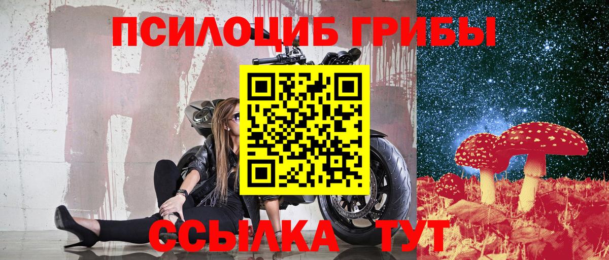 Псилоцибиновые грибы Psilocybe  Вход с VPN  Алексин 
